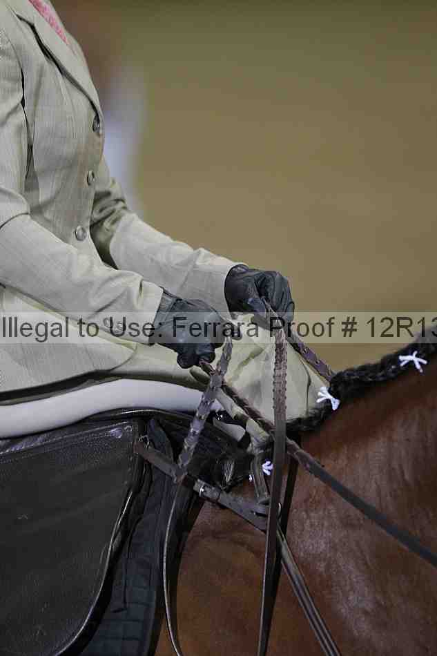 Proof Number 12r13_4875