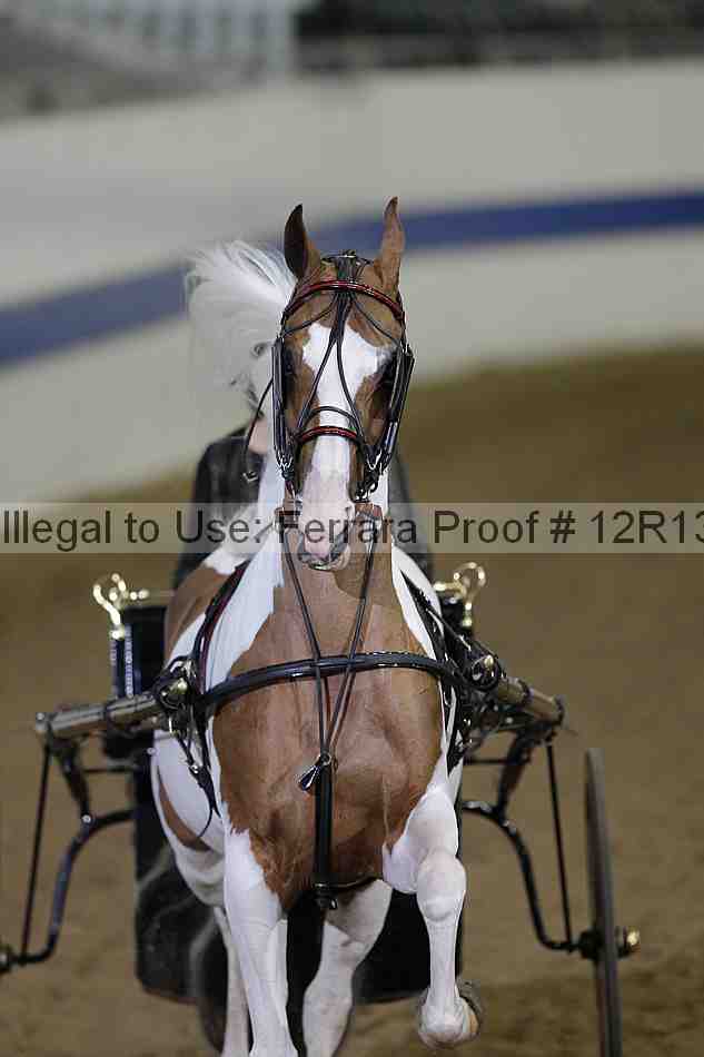 Proof Number 12r13_4882