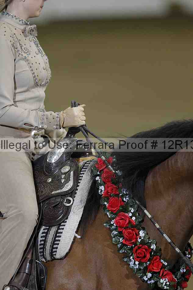 Proof Number 12r13_4914