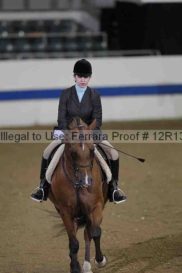 Proof Number 12r13_4993