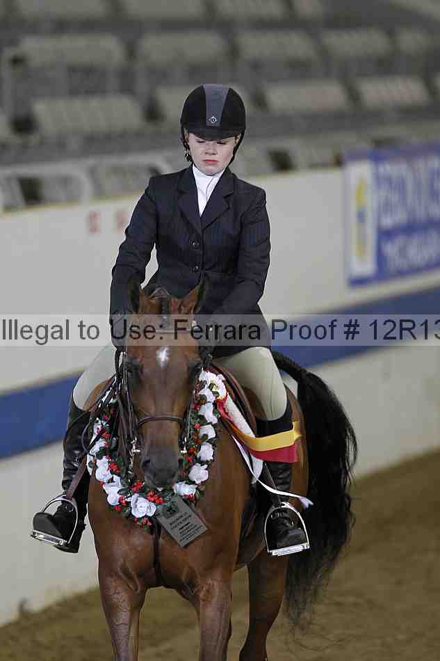 Proof Number 12r13_5073