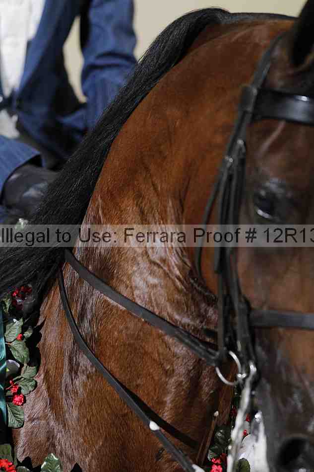 Proof Number 12r13_5117