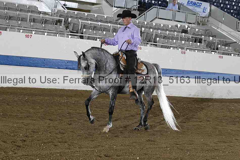 Proof Number 12r13_5163