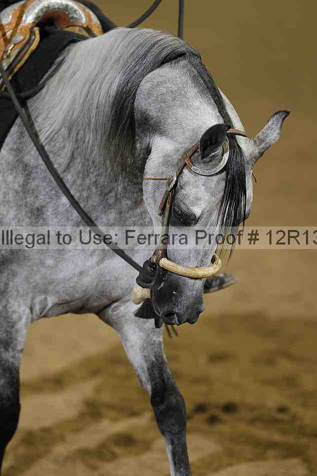Proof Number 12r13_5170