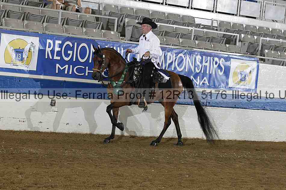 Proof Number 12r13_5176