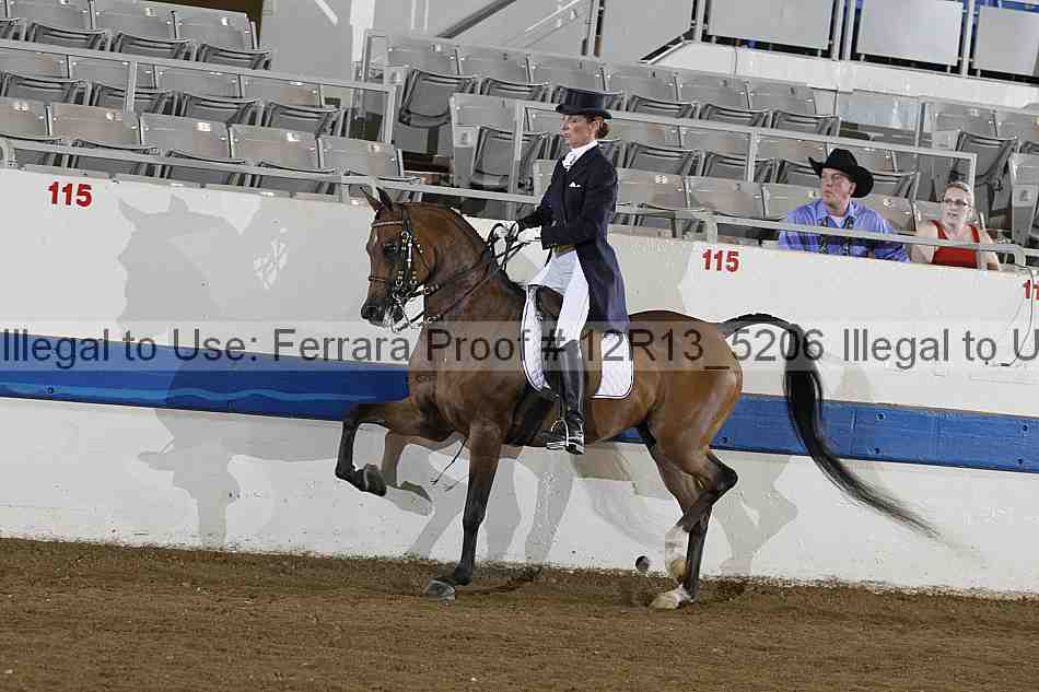 Proof Number 12r13_5206