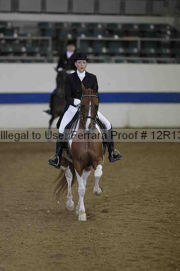 Proof Number 12r13_5232
