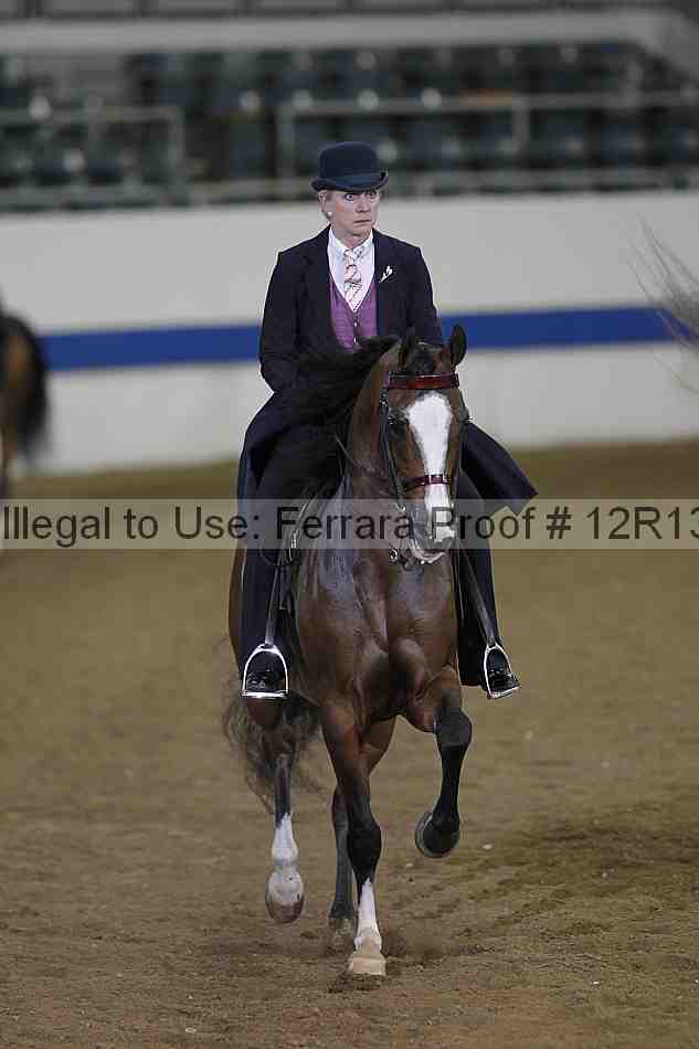 Proof Number 12r13_5281