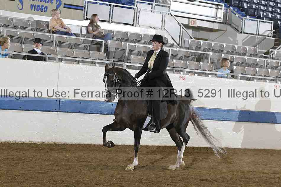 Proof Number 12r13_5291