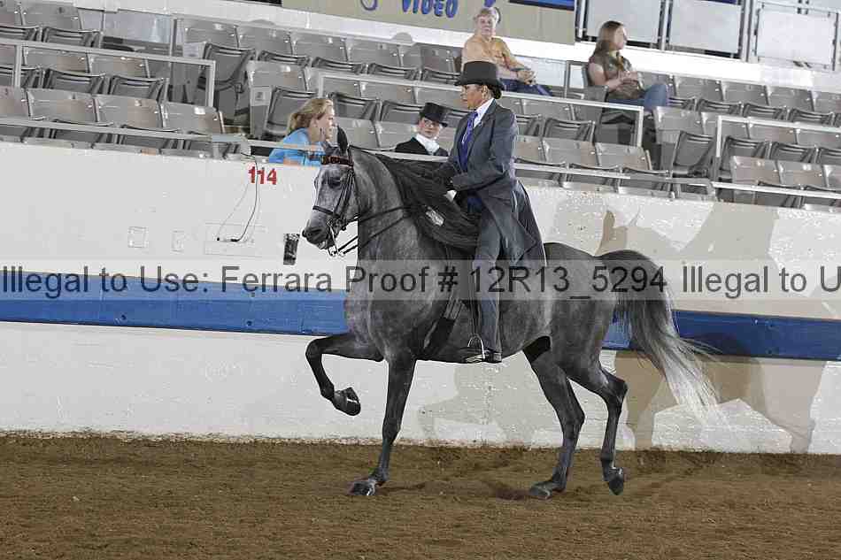 Proof Number 12r13_5294