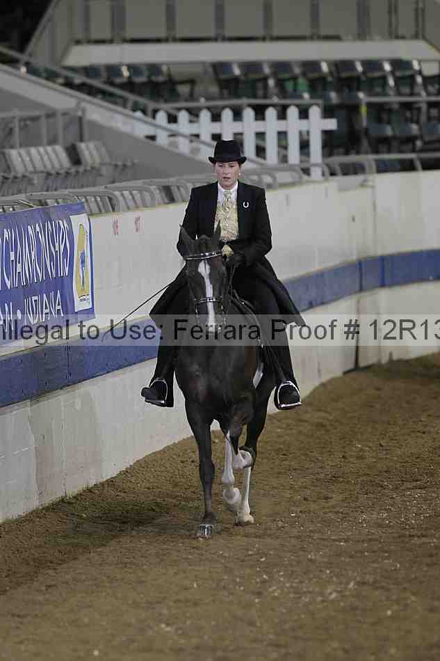 Proof Number 12r13_5295
