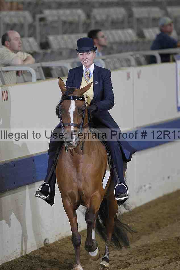 Proof Number 12r13_5301