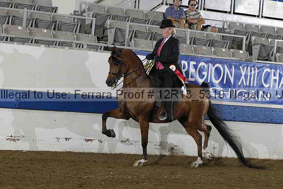 Proof Number 12r13_5319