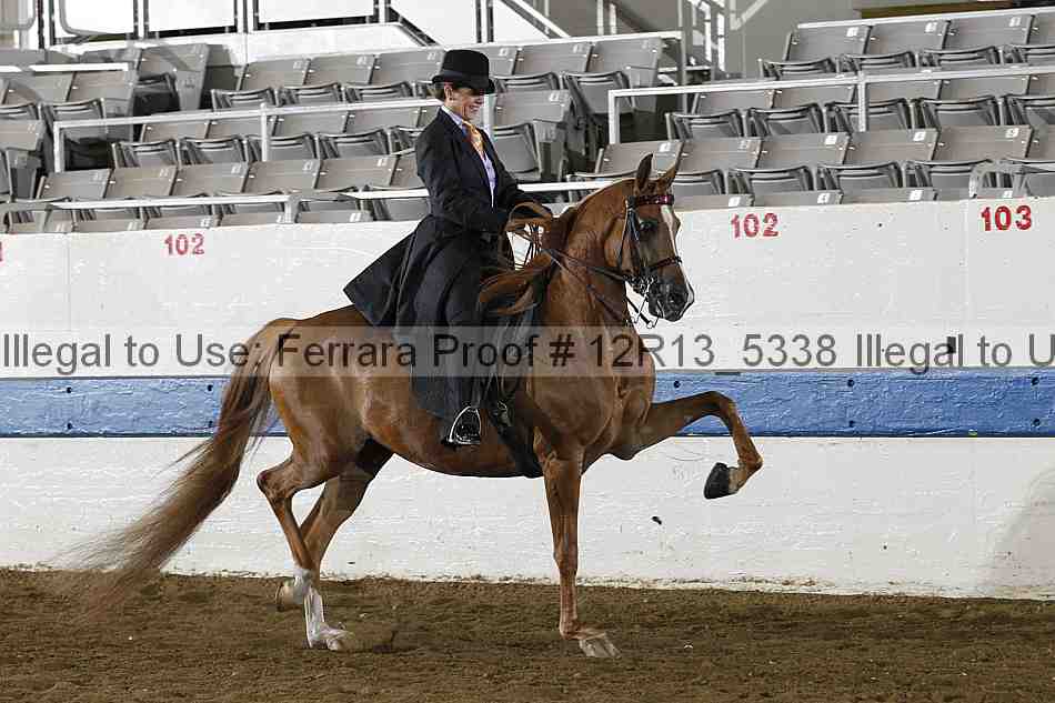 Proof Number 12r13_5338