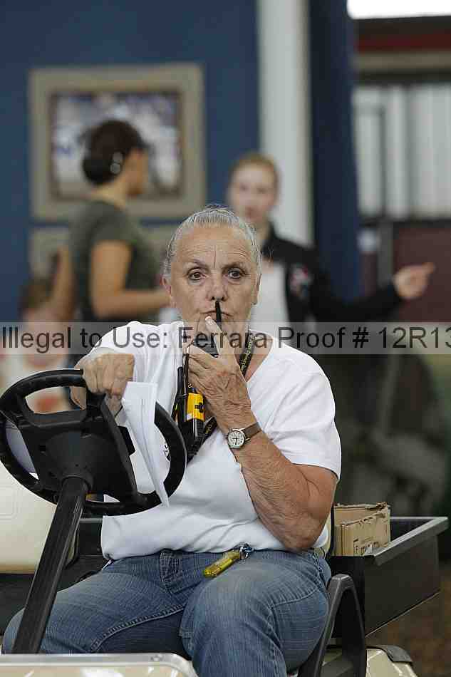 Proof Number 12r13_3442