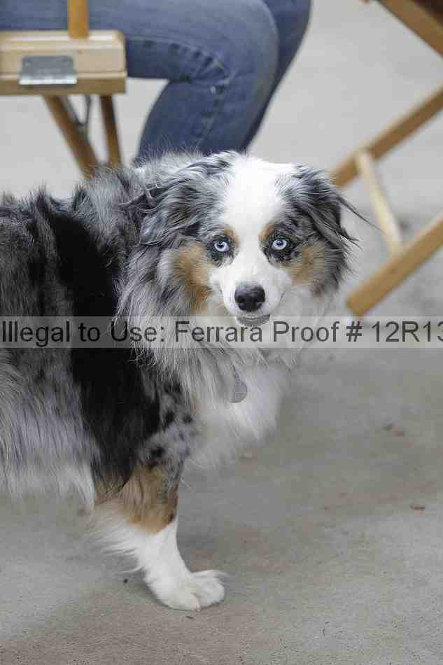 Proof Number 12r13_3444