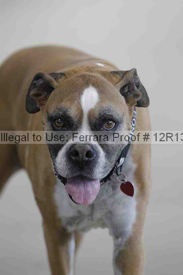 Proof Number 12r13_3458