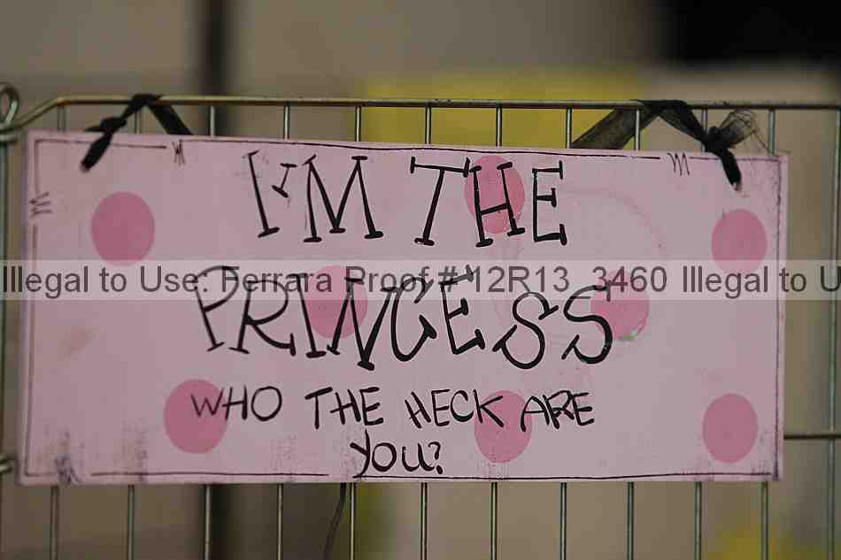 Proof Number 12r13_3460