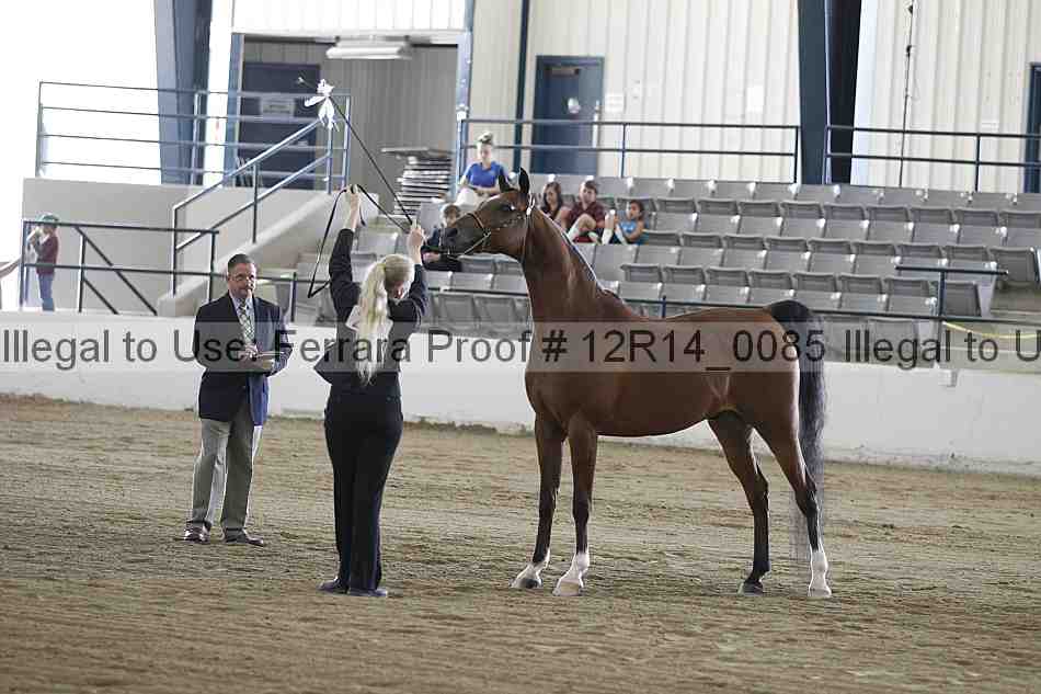 Proof Number 12r14_0085