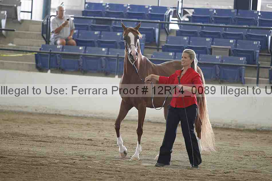 Proof Number 12r14_0089