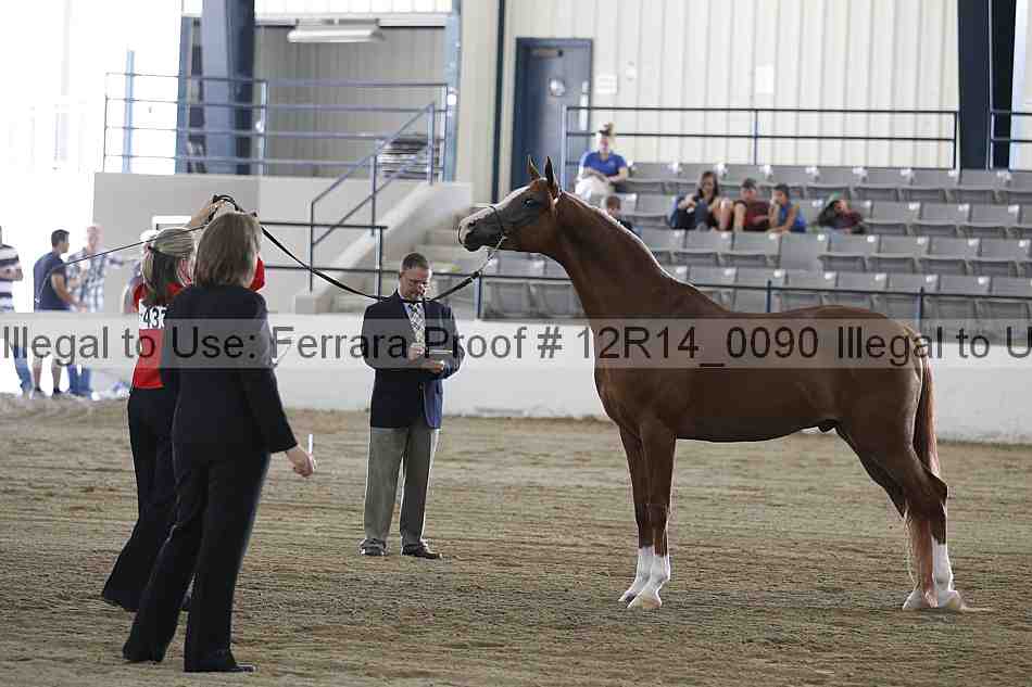 Proof Number 12r14_0090