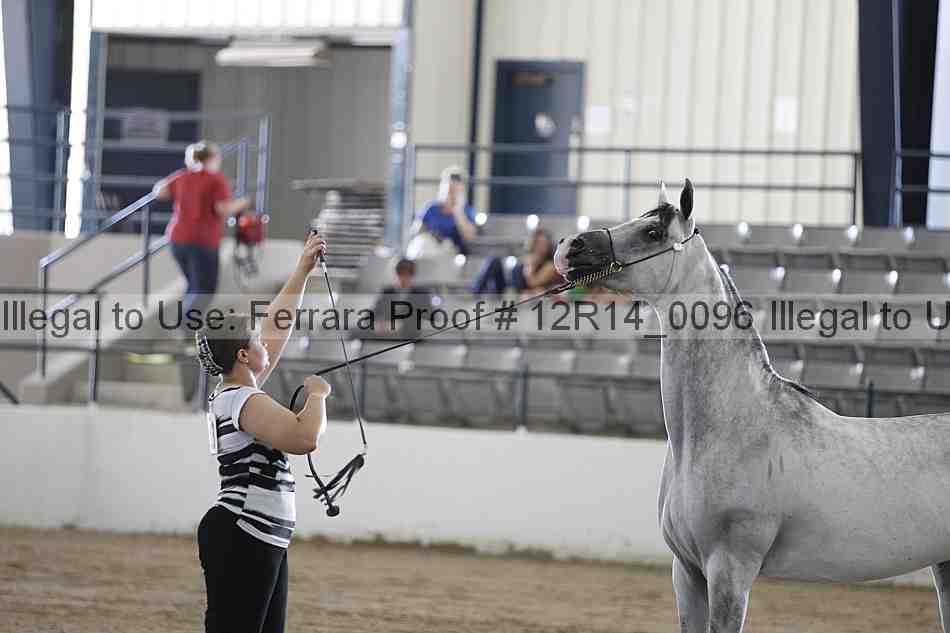 Proof Number 12r14_0096