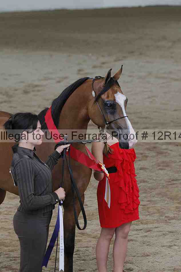 Proof Number 12r14_0135