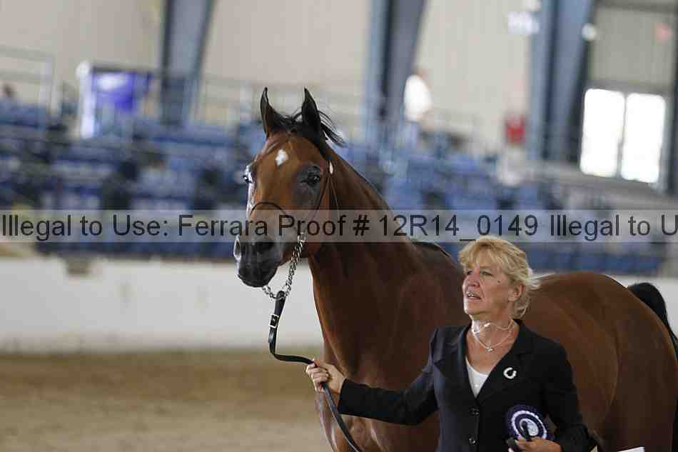 Proof Number 12r14_0149