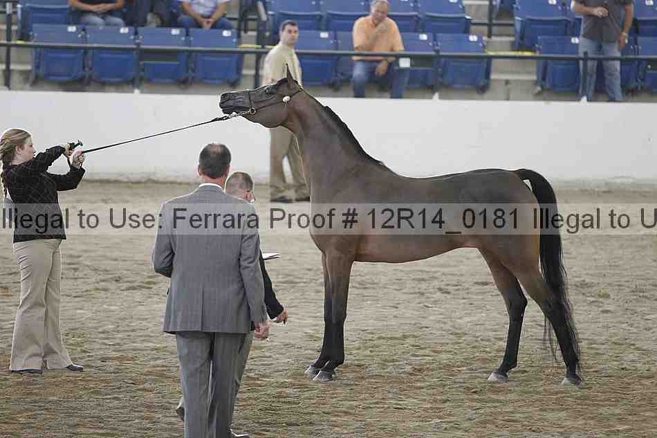 Proof Number 12r14_0181