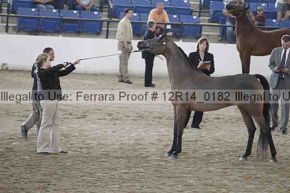 Proof Number 12r14_0182