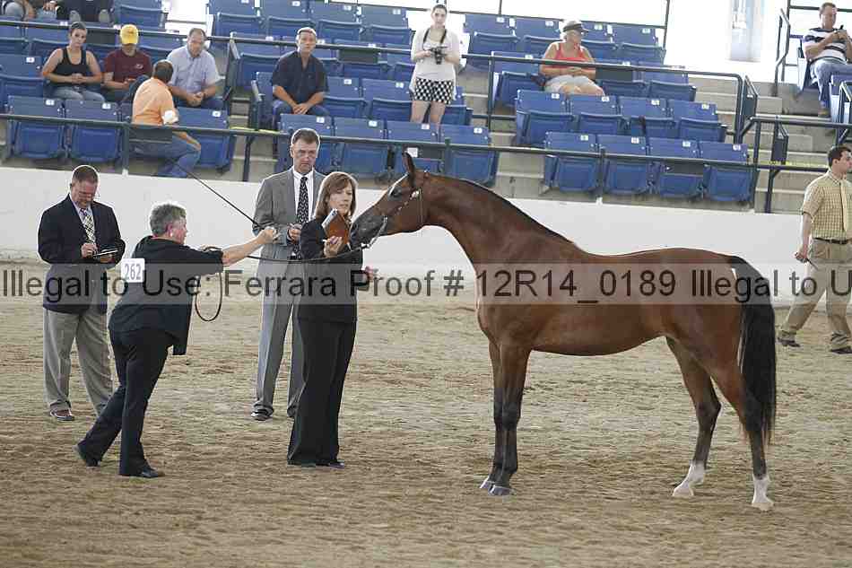 Proof Number 12r14_0189
