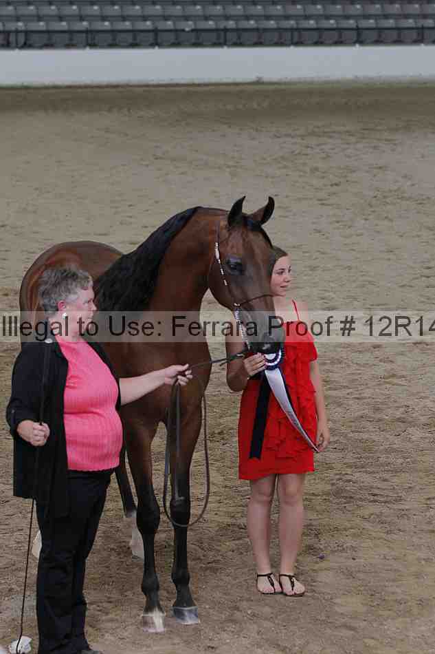 Proof Number 12r14_0192