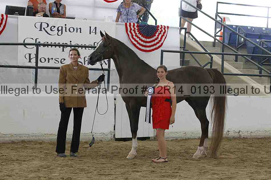 Proof Number 12r14_0193