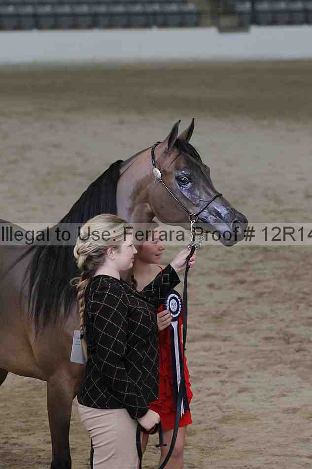 Proof Number 12r14_0198