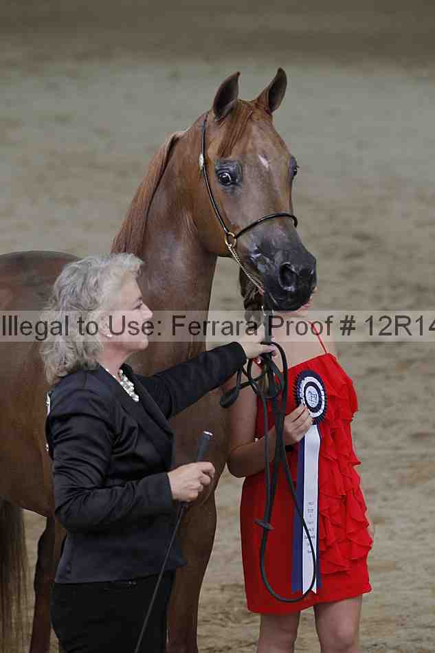 Proof Number 12r14_0204