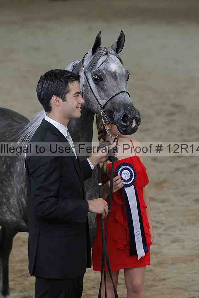 Proof Number 12r14_0206