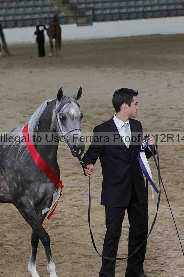 Proof Number 12r14_0211