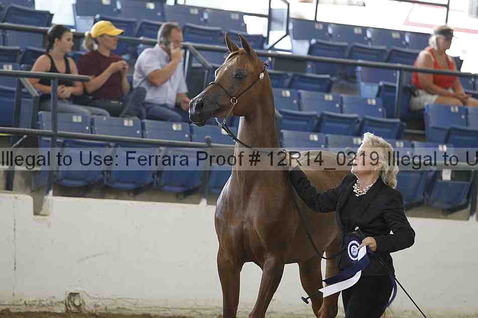 Proof Number 12r14_0219