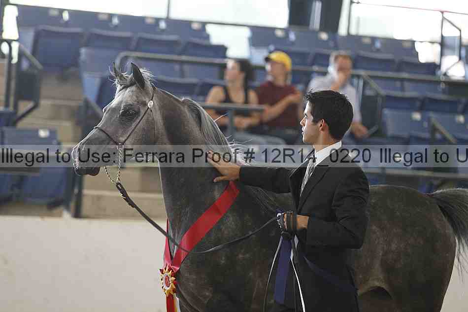 Proof Number 12r14_0220