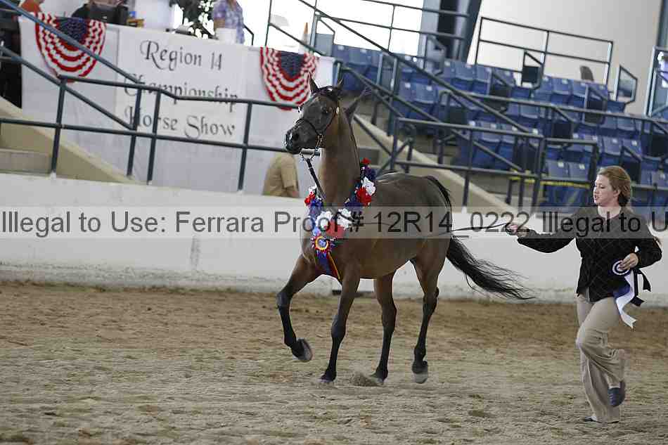 Proof Number 12r14_0222