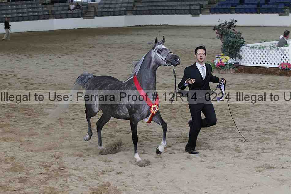 Proof Number 12r14_0224