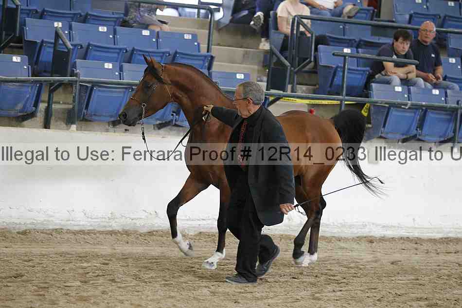 Proof Number 12r14_0233
