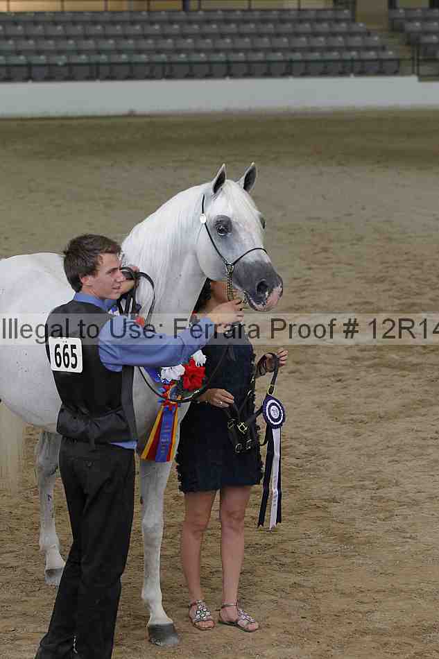 Proof Number 12r14_0256
