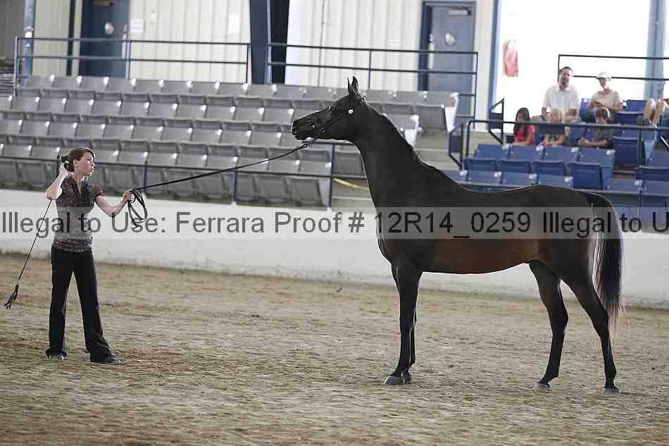 Proof Number 12r14_0259