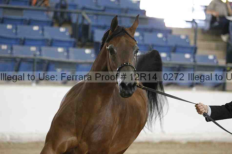 Proof Number 12r14_0272
