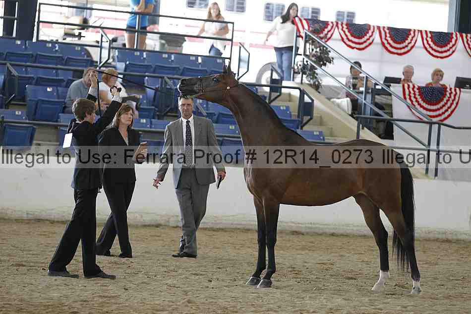 Proof Number 12r14_0273