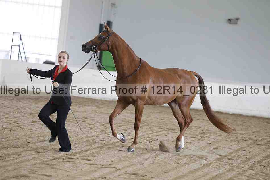 Proof Number 12r14_0281