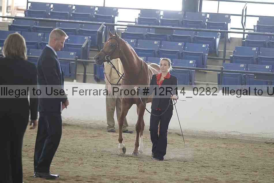 Proof Number 12r14_0282