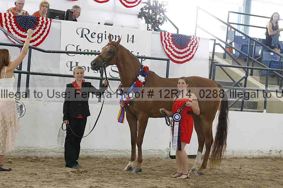 Proof Number 12r14_0288
