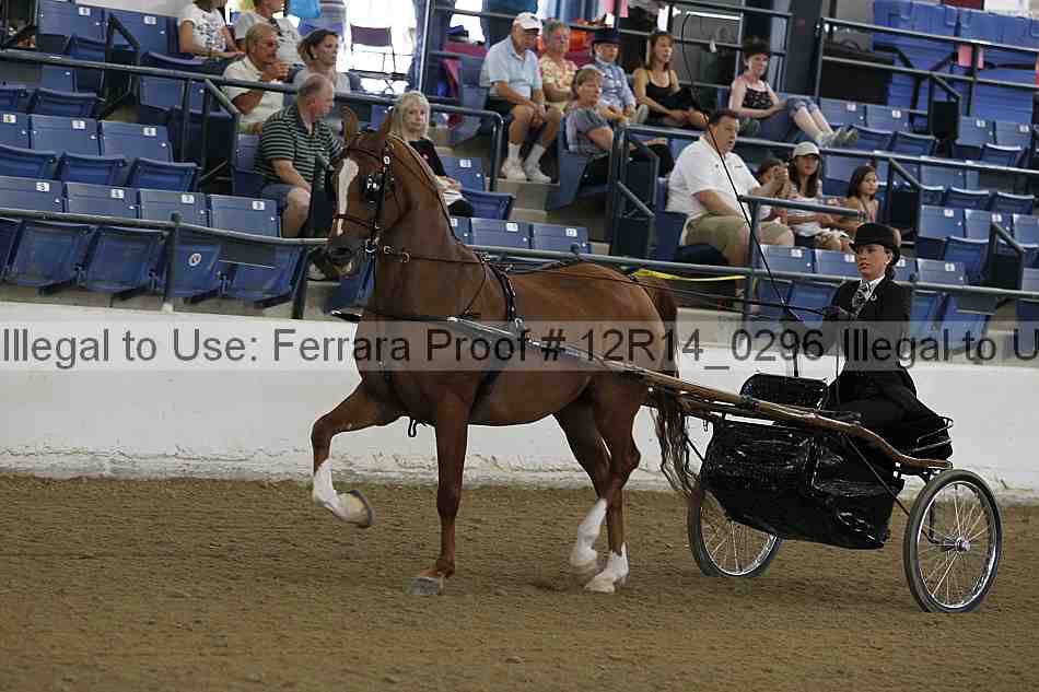 Proof Number 12r14_0296